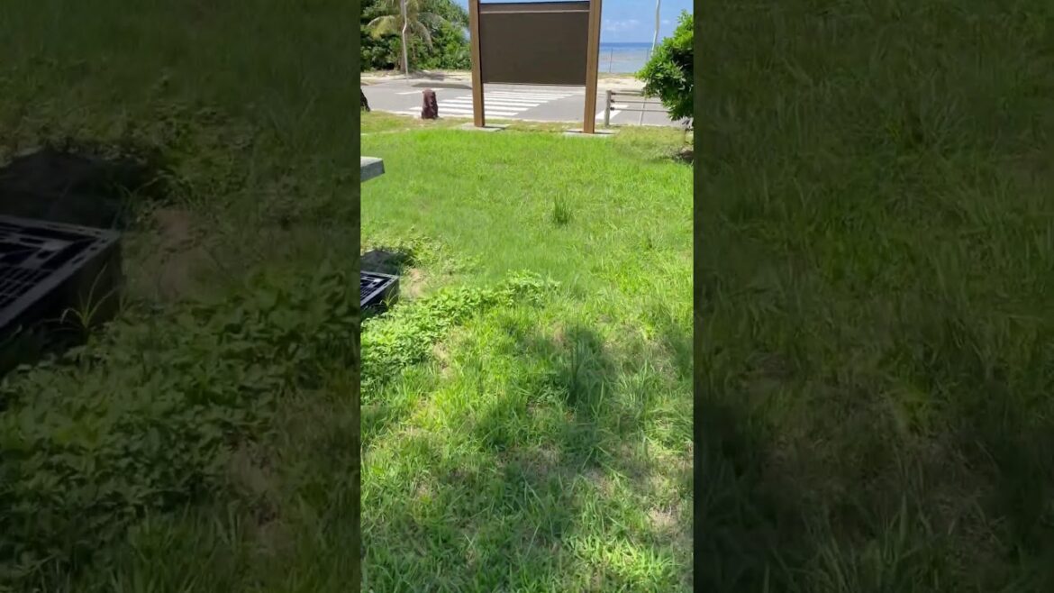 【1分散歩】沖縄県宮古郡多良間村 ふる里海浜公園 #shorts