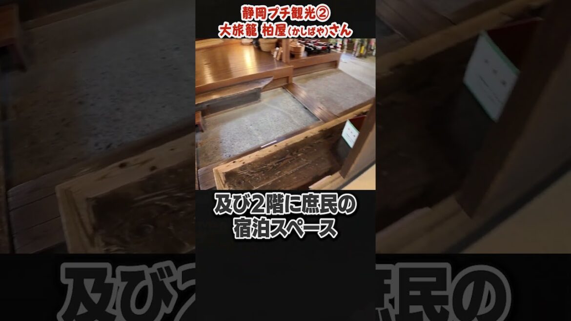 静岡プチ旅行記２　#shorts