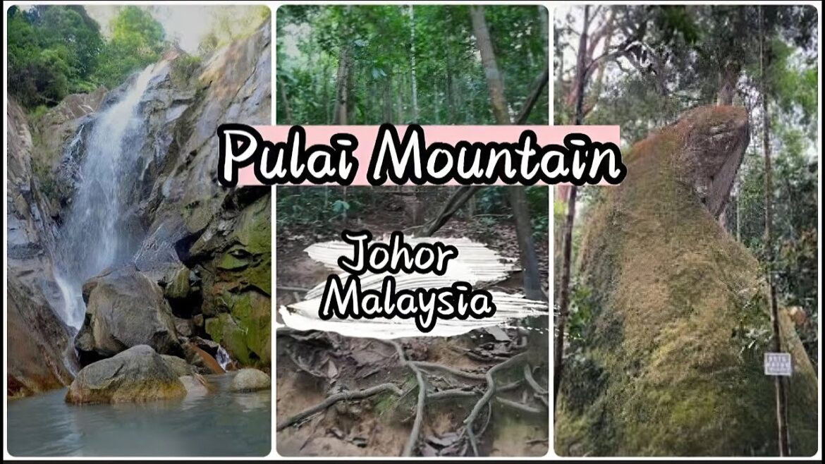 Hiking Mountain Pulai In Malaysia l Gunung Pulai l 马来西亚普莱山爬山攻略