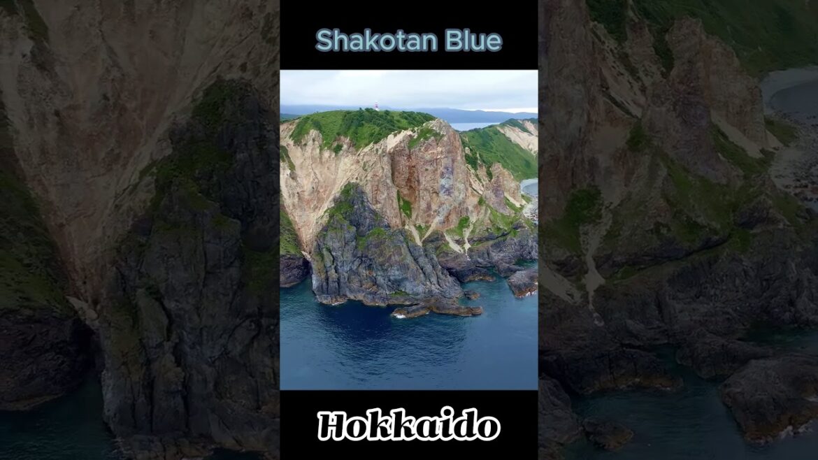 홋카이도 서부여행 - Shakotam Blue #shorts