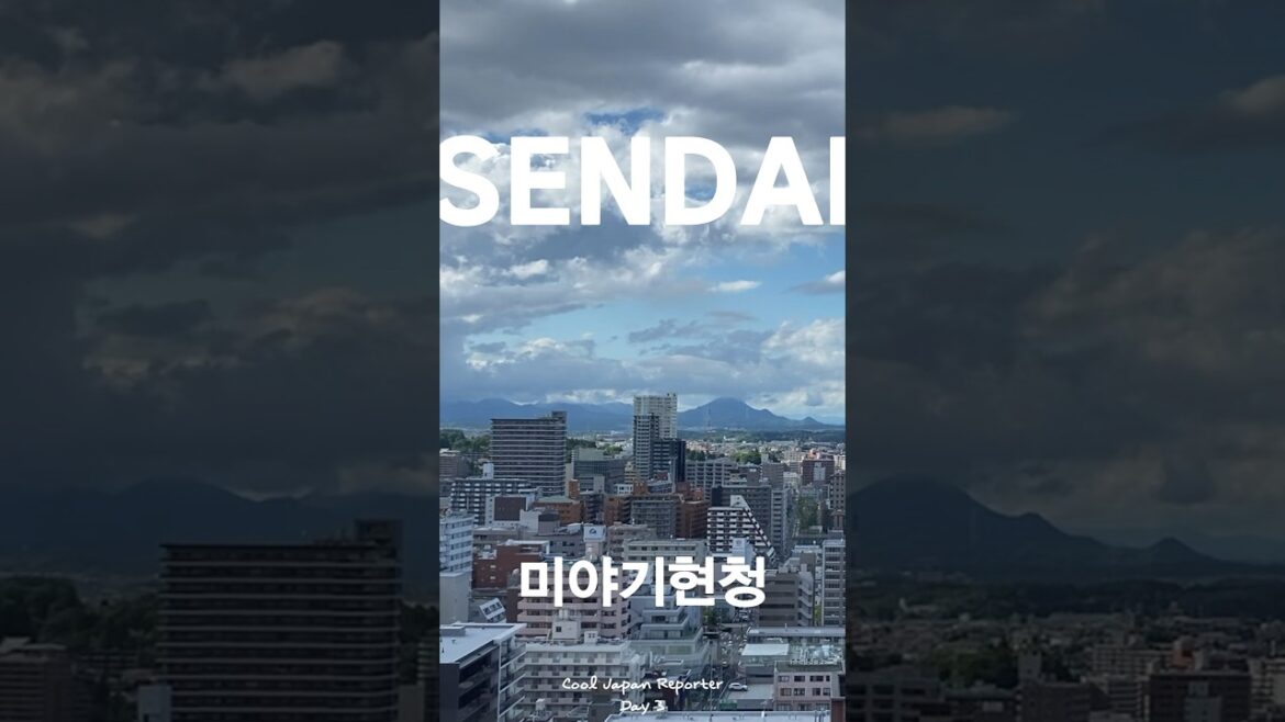 지진 이후 13년간의 이야기