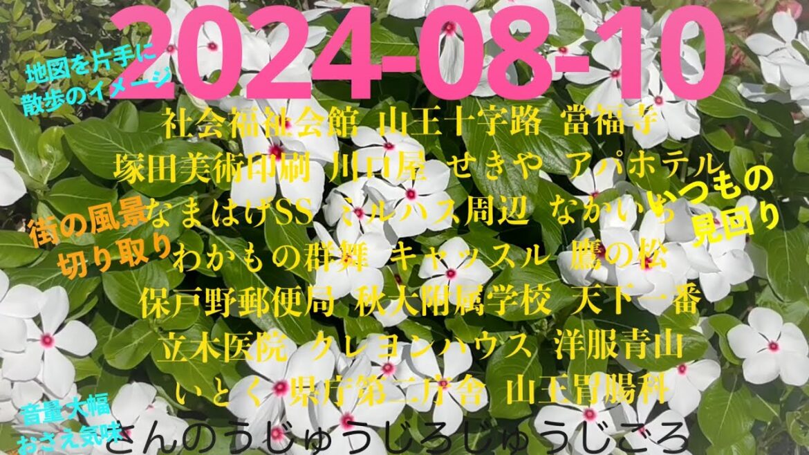 2024-08-10さんのうじゅうじろじゅうじごろ