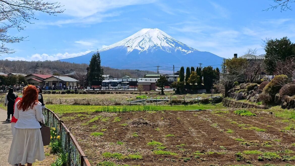 Exploring the Crystal-Clear Ponds of Oshino Hakkai near Mt. Fuji
