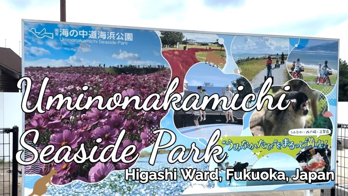 UMINONAKAMICHI SEASIDE PARK #uminonakamichi #fukuoka #japan #TaraAnythingGoes UMINONAKAMICHI SEASIDE PARK #uminonakamichi #fukuoka #japan #TaraAnythingGoes