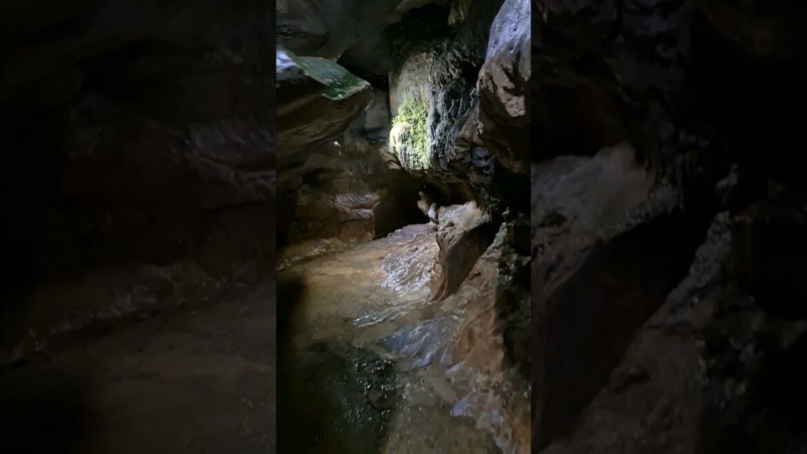 기타큐슈 여행(센부츠종유동굴)