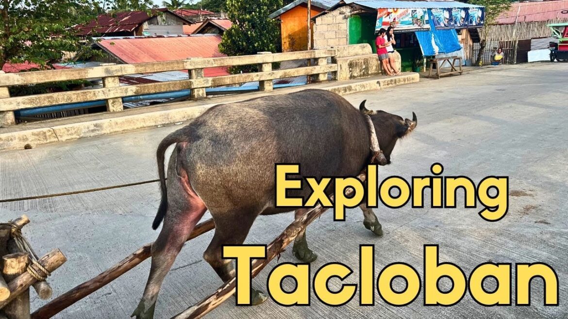 Exploring Tacloban, Philippines