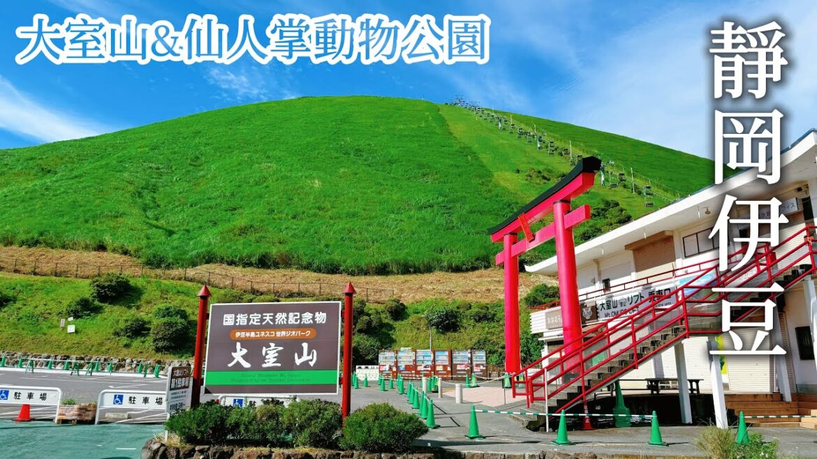 伊豆半島|彷彿抹茶布丁的火山 大室山|幸運包下大室山對面的山景飯店!超近距離餵食可愛水豚|仙人掌動物公園|靜岡、日本旅遊、Satori日本生活 伊豆半島|彷彿抹茶布丁的火山 大室山|幸運包下大室山對面的山景飯店!超近距離餵食可愛水豚|仙人掌動物公園|靜岡、日本旅遊、Satori日本生活
