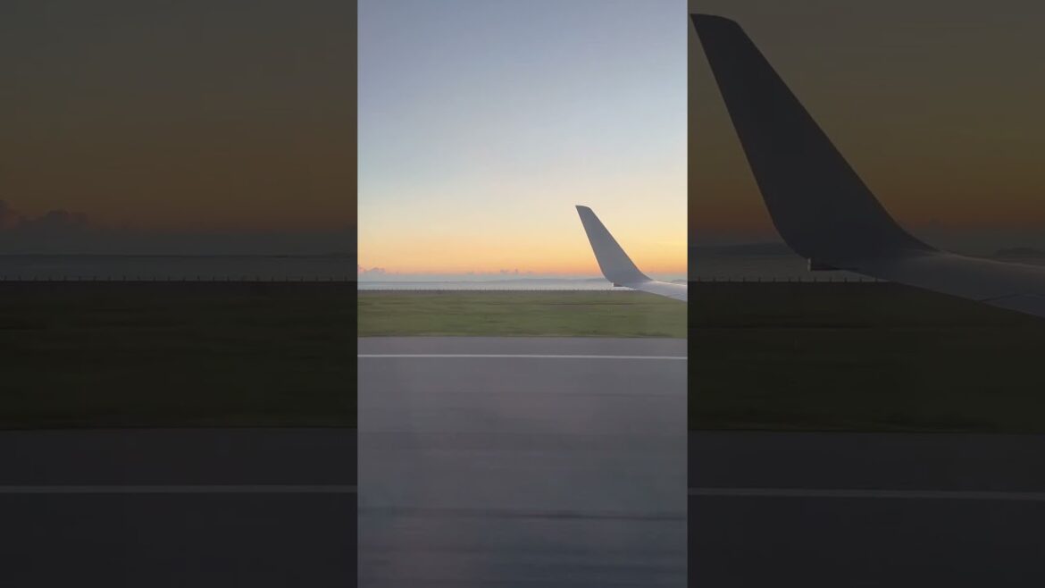 【沖縄】夕方の那覇空港に着陸するシーン #shorts