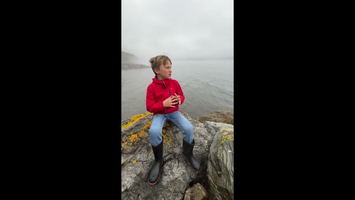 Healeys Cove, Newfoundland, north of Holyrood on the southeast rocky shore of Conception Bay #travel