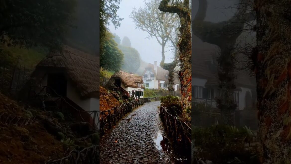 Relaxation Destination #travel #travelphotooftheday #traveldestinations #traveldestination #nature Relaxation Destination #travel #travelphotooftheday #traveldestinations #traveldestination #nature