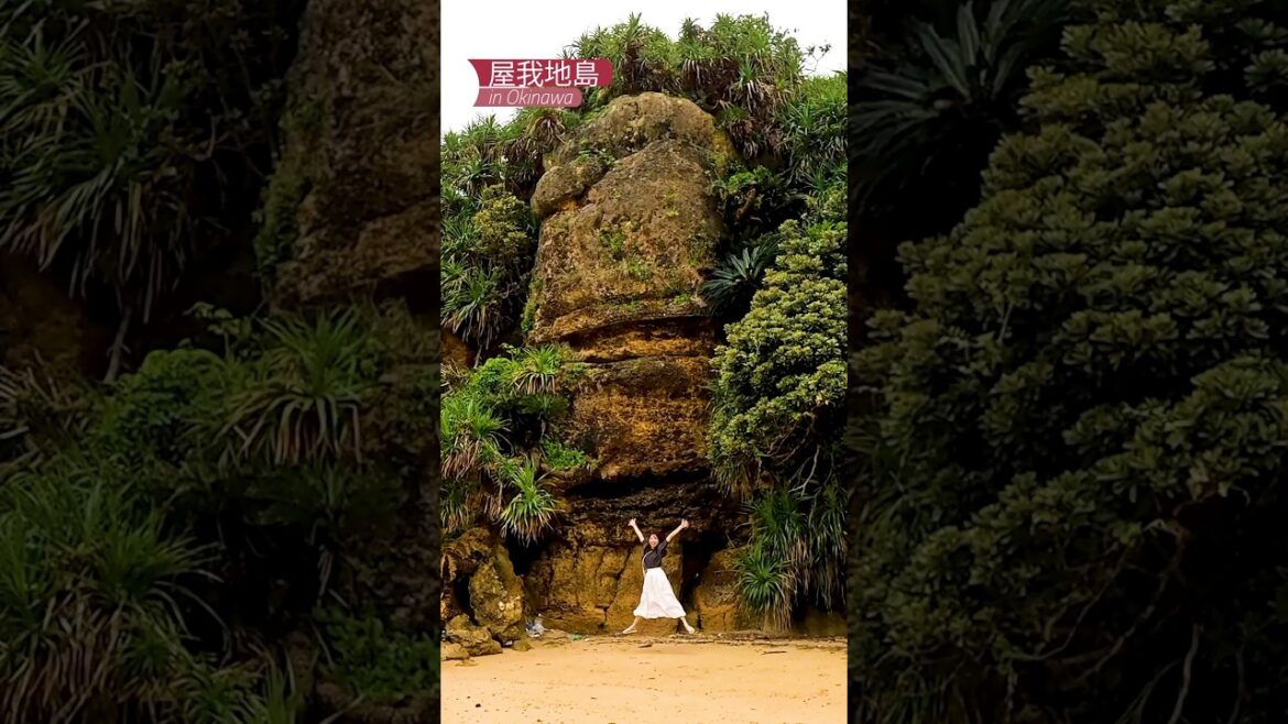[沖縄] まるで遺跡みたい♪ #屋我地島 #okinawa  #沖縄北部