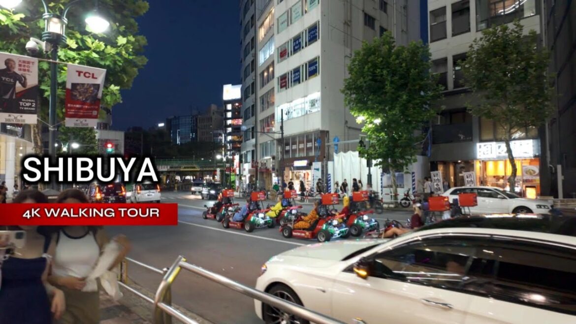 The Most INSANE City at Night - Tokyo Shibuya 【4K HDR】(東京散歩) 2024