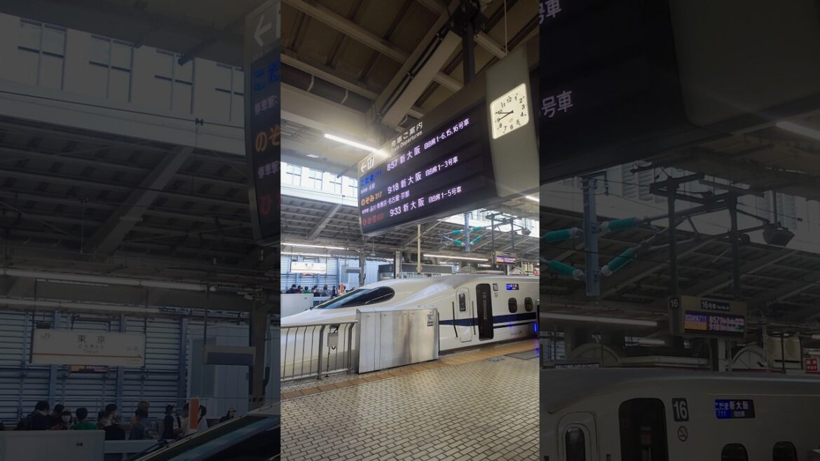 新幹線こだまで行く三島市周辺の旅(三島市 沼津市 熱海市)