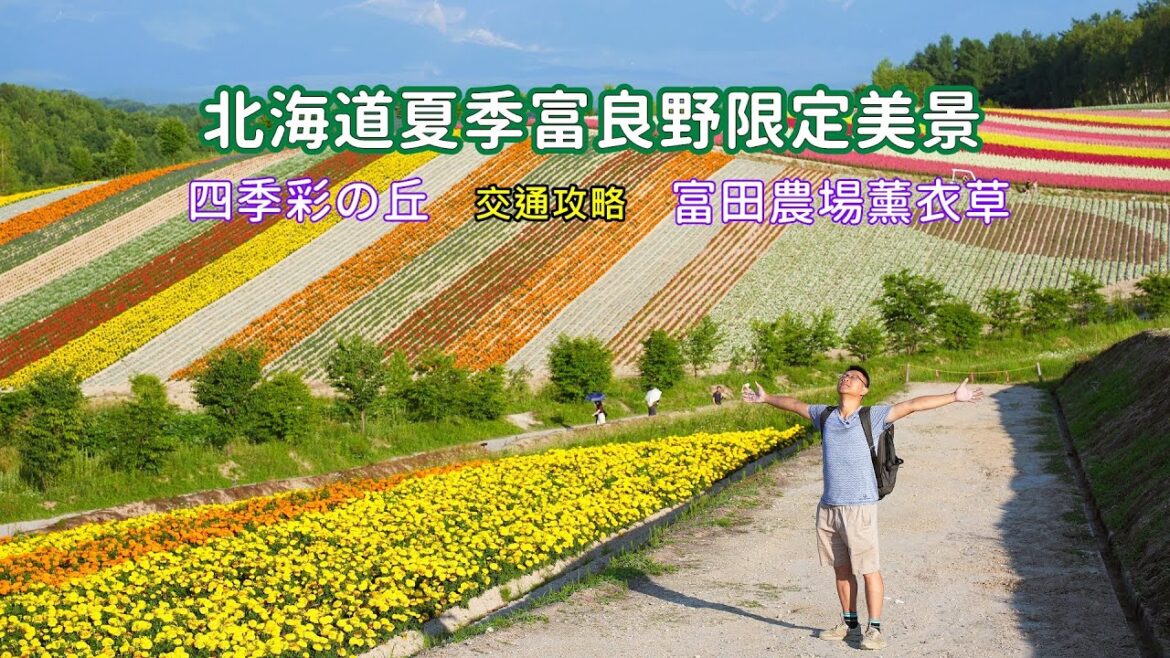 北海道夏日限定美景富良野薰衣草花海,搭各色列車美瑛慢車號 兩座知名農場四季之丘與富田農場一次滿足 北海道夏日限定美景富良野薰衣草花海,搭各色列車美瑛慢車號 兩座知名農場四季之丘與富田農場一次滿足