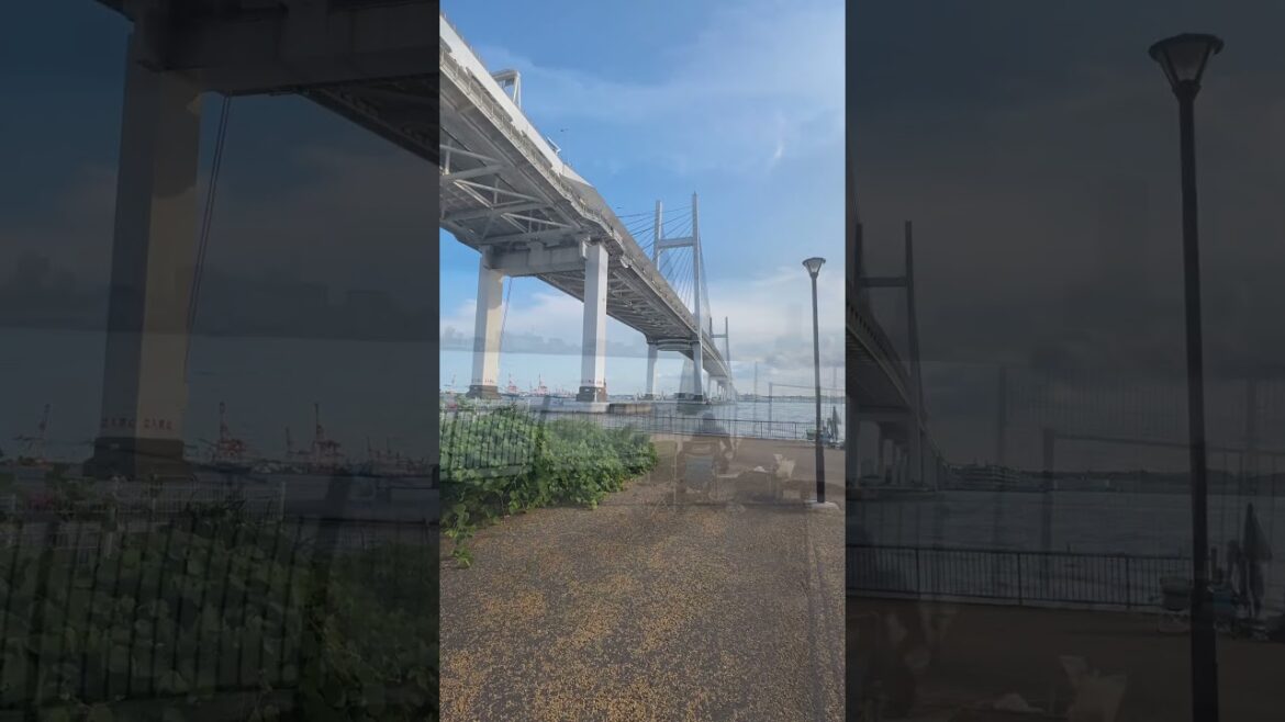 Yokohama Bay Bridge
