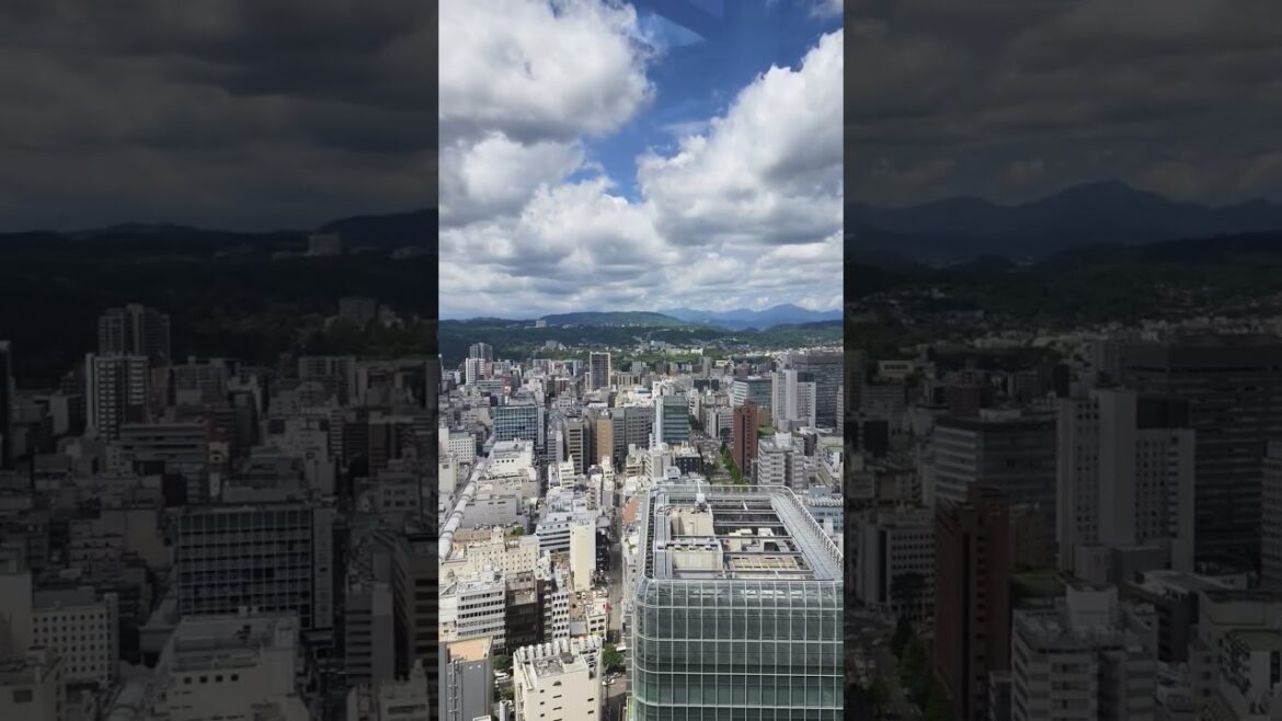 日本仙台AER 31樓展望台日景。