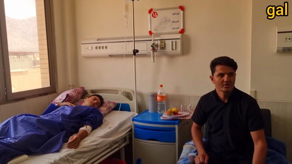 Nomadic life in crisis: efforts to preserve the family against destruction