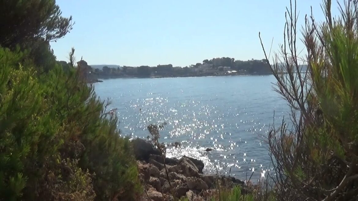 Au bord de la mer sur le sentier du littoral