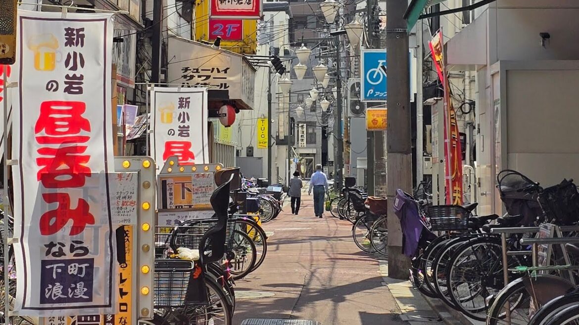 🇯🇵 東京都 葛飾区 新小岩