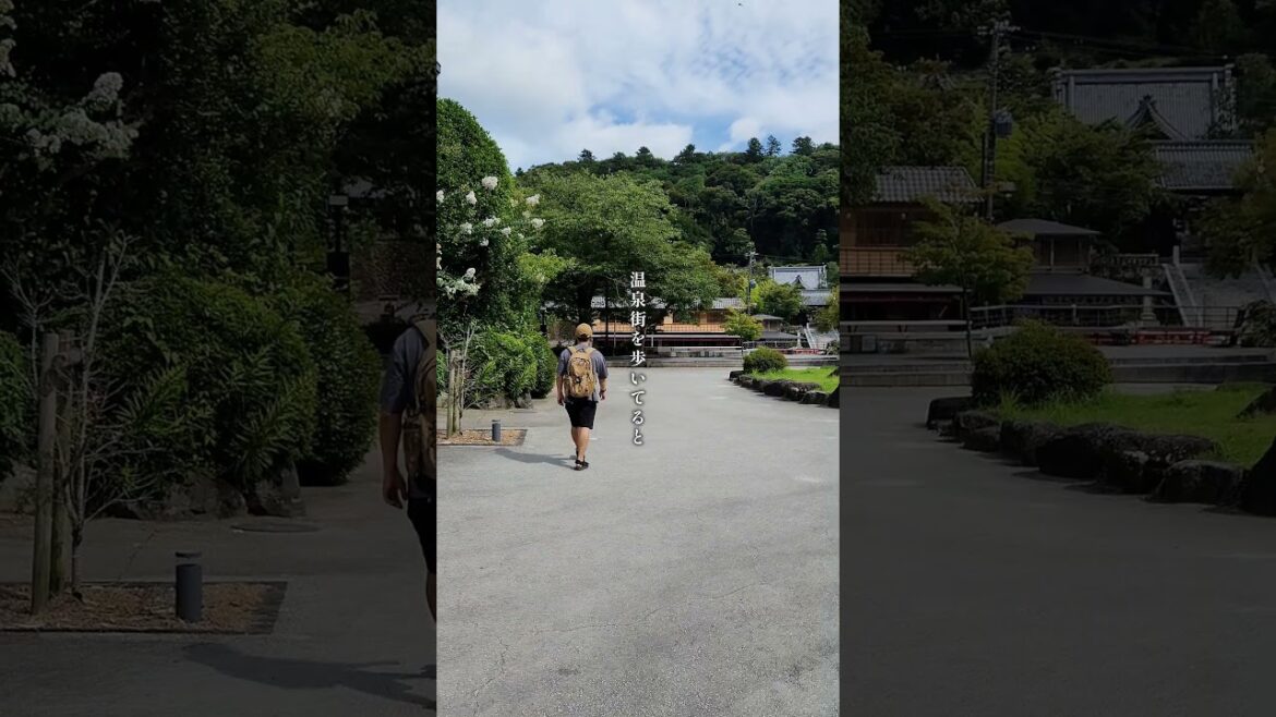 【静岡・伊豆】何度でも行きたい!絶景癒やしスポット #伊豆旅行 #修善寺 【静岡・伊豆】何度でも行きたい!絶景癒やしスポット #伊豆旅行 #修善寺