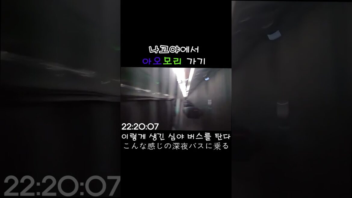 나고야에서 신칸센 , 심야버스 타고  아오모리 가기 #shorts
