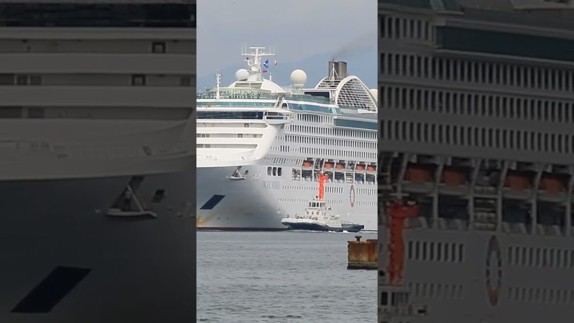 2024.8.8 函館寄港『パシフィック・ワールド号』入港シーン🎬