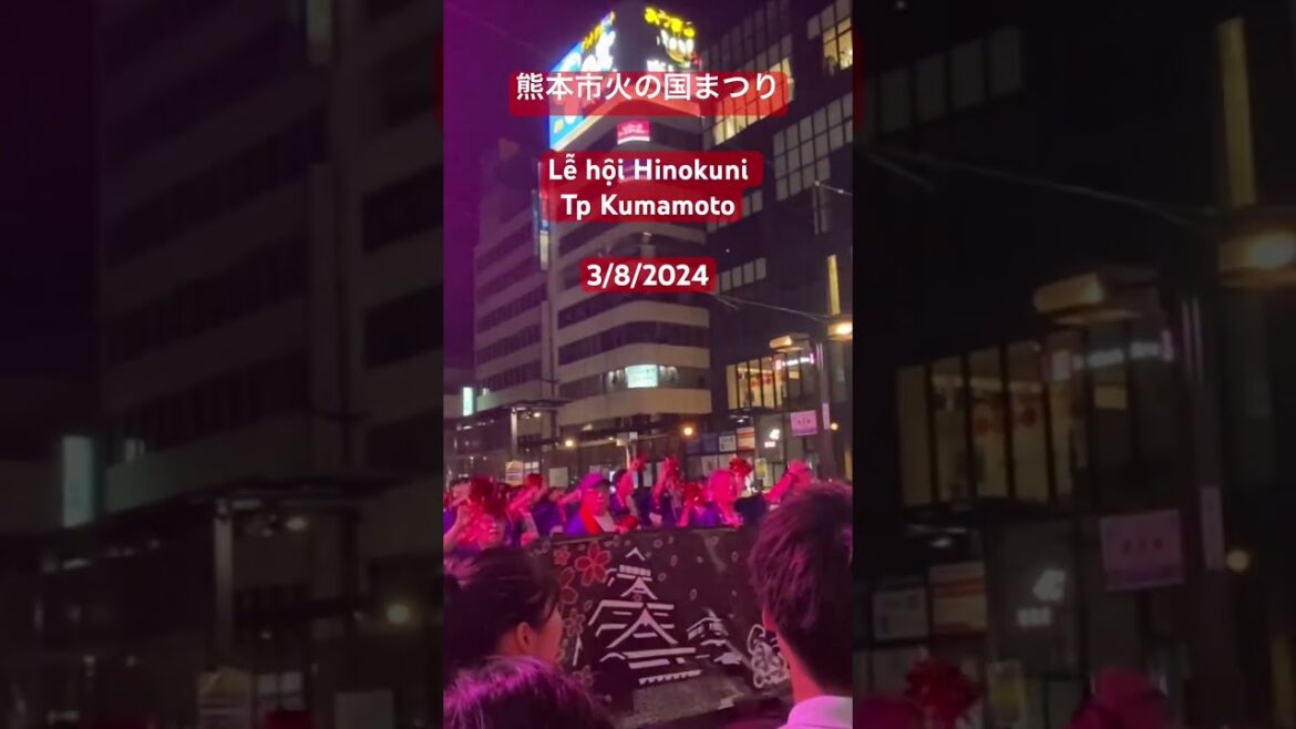 Lễ hội Hinokuni ở tp Kumamoto 3/8/2024 #songthanh #kumamoto #festival