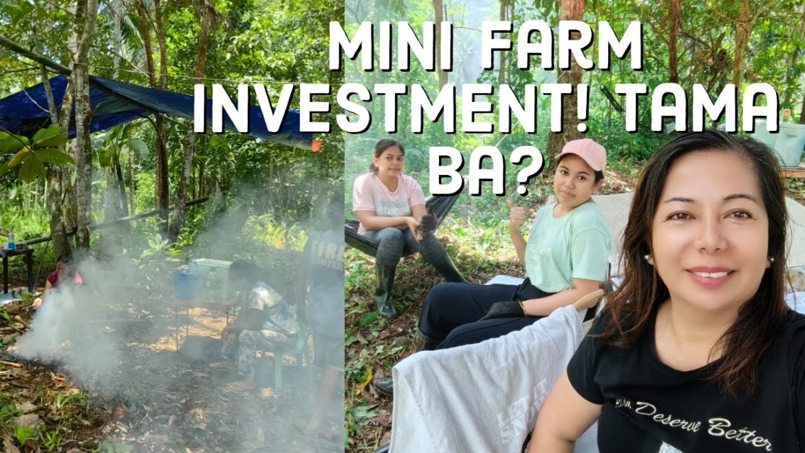 Ep#95 ANG PAGBUO NG AMING MINI FARM /Irene Phiqz TV Ep#95 ANG PAGBUO NG AMING MINI FARM /Irene Phiqz TV