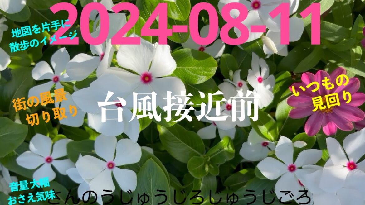 2024-08-11さんのうじゅうじろじゅうじごろ