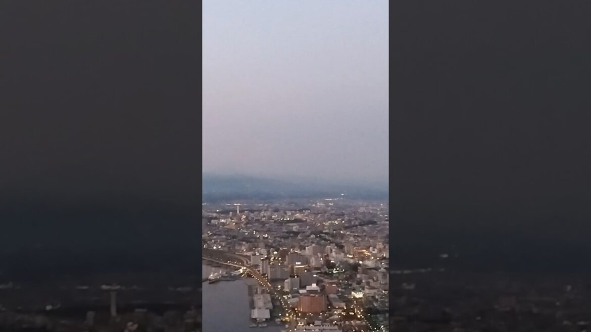 函館山から市内 #函館#函館山 #travel