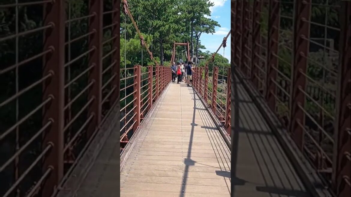 Experience crossing the thrilling bridge above the coast  #nature  #bridgetype  #shizuoka