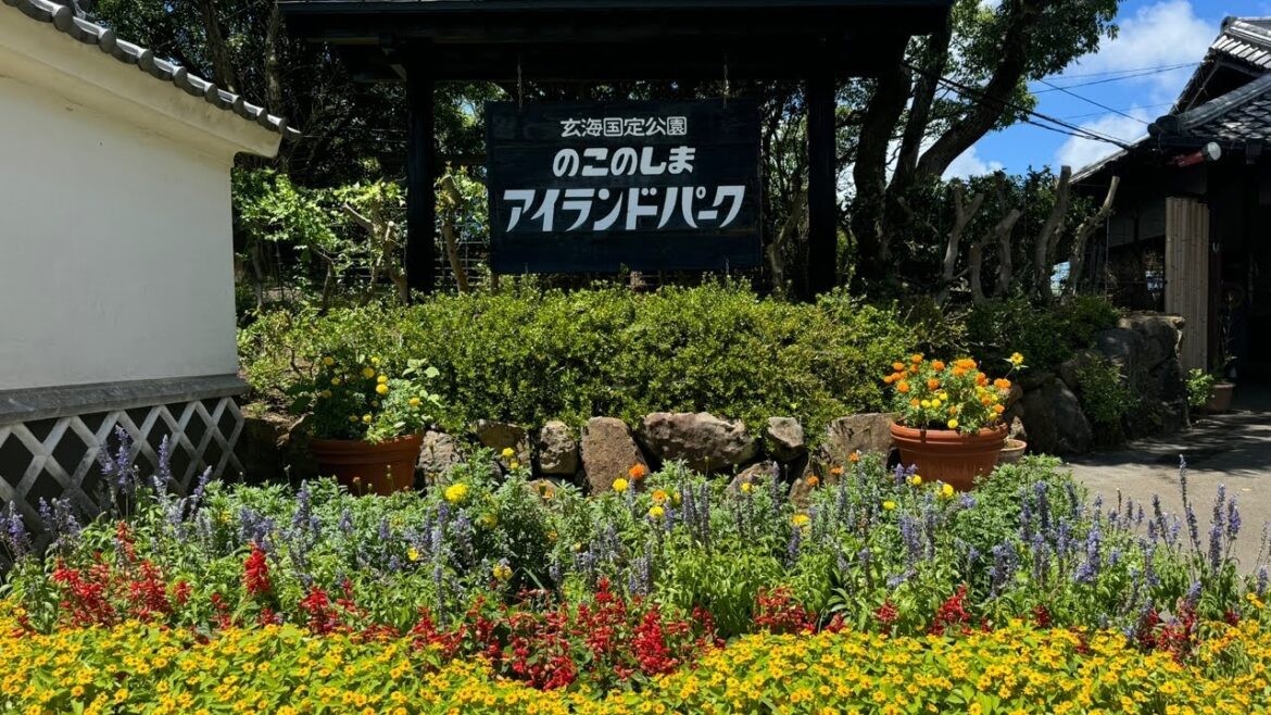 Japan Live🇯🇵Flower Island🇯🇵Fukuoka Japan Japan Live🇯🇵Flower Island🇯🇵Fukuoka Japan