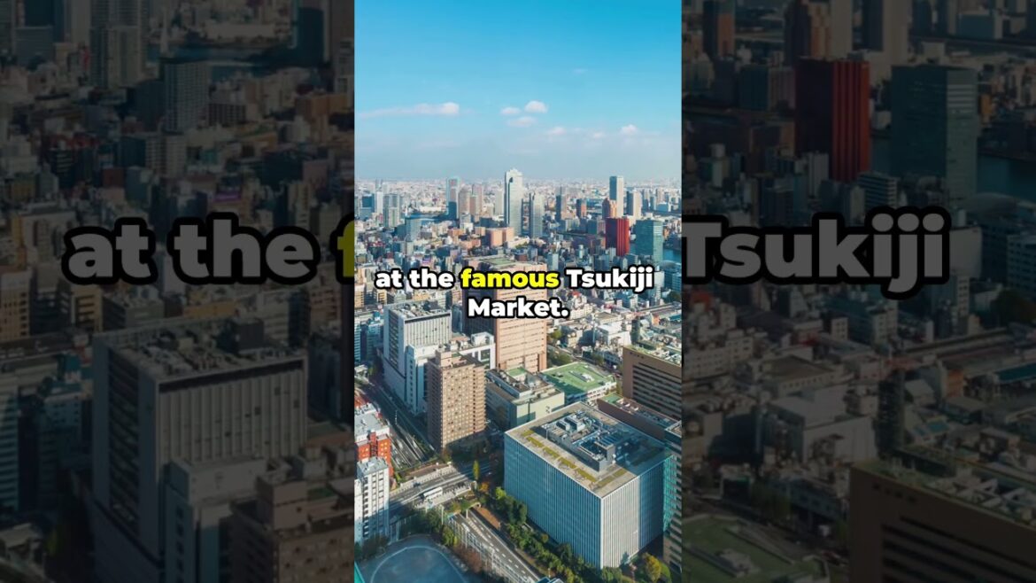 Tokyo Travel Guide: Top Attractions and Hidden Gems     #travel #japan  #travellife #adventuretours Tokyo Travel Guide: Top Attractions and Hidden Gems     #travel #japan  #travellife #adventuretours