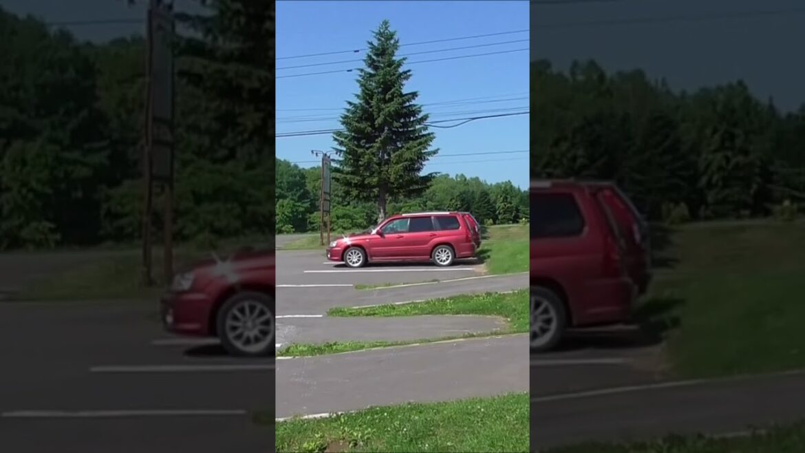 北海道　ミルク工房（ニセコ高橋牧場）　ニセコ町　#shorts 　＃hokkaido　＃Japan　＃北海道　＃ニセコビュープラザ　＃ニセコ　＃曽我森林公園　＃ニセコ高橋牧場　＃ミルク工房　＃羊蹄山