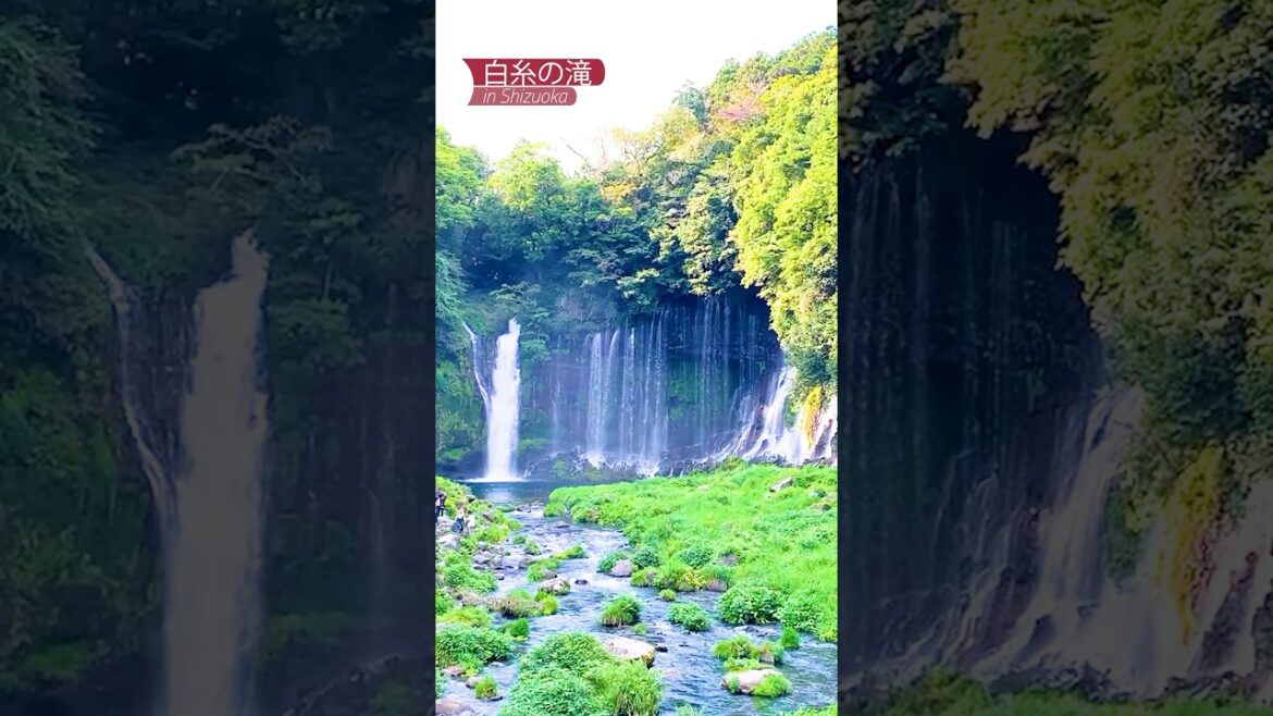 [静岡] 白糸の滝 夏は滝を見て涼みましょう♪ #白糸の滝  #富士宮 #女子キャンプ