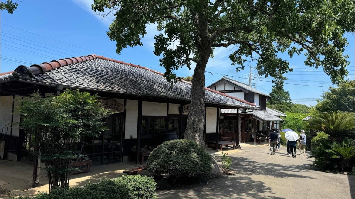 Japan Live🇯🇵Island Park Village Nokonoshima 🇯🇵Fukuoka Japan