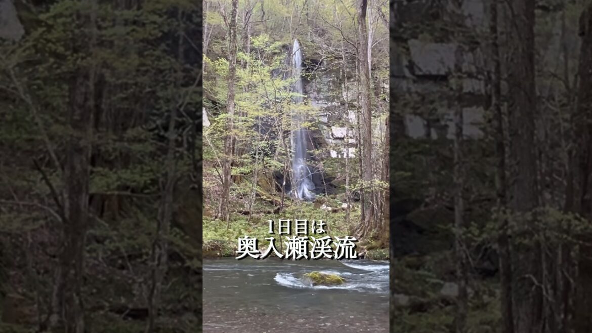 青森観光#奥入瀬渓流 #japantrip #青森県