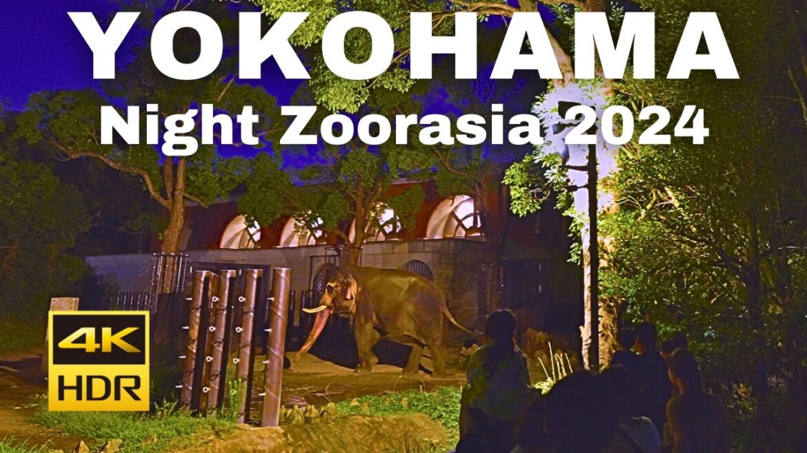 【4K🇯🇵】"Night Zoorasia 2024" is being held! Events every Saturday and Sunday in August