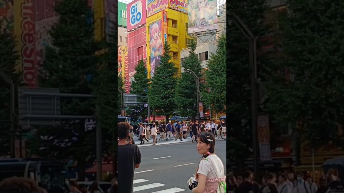 Akihabara tokyo japan #jasexplorer #akihabara #japan