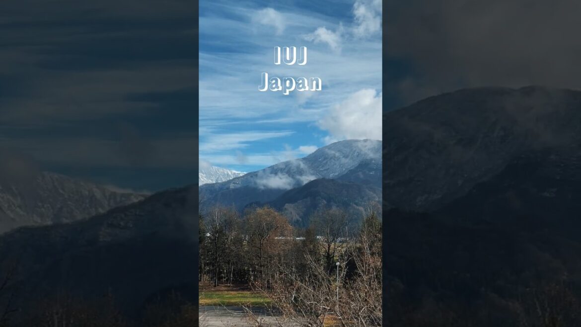 Late Autumn Afternoon at IUJ #japan