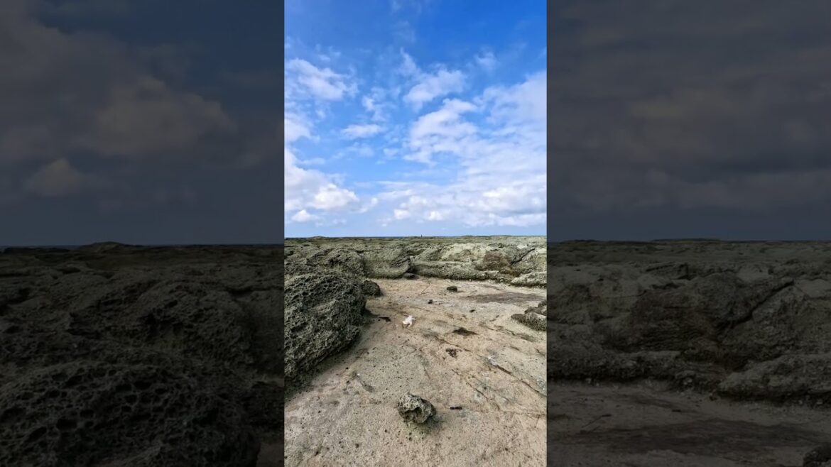 千畳敷海岸青森県西津軽郡深浦町北金ケ沢榊原　#海 #自然 #日本