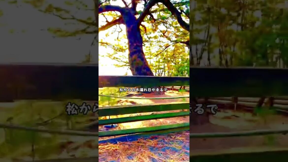 【美しい富士山をみるなら】三保の松原 【美しい富士山をみるなら】三保の松原