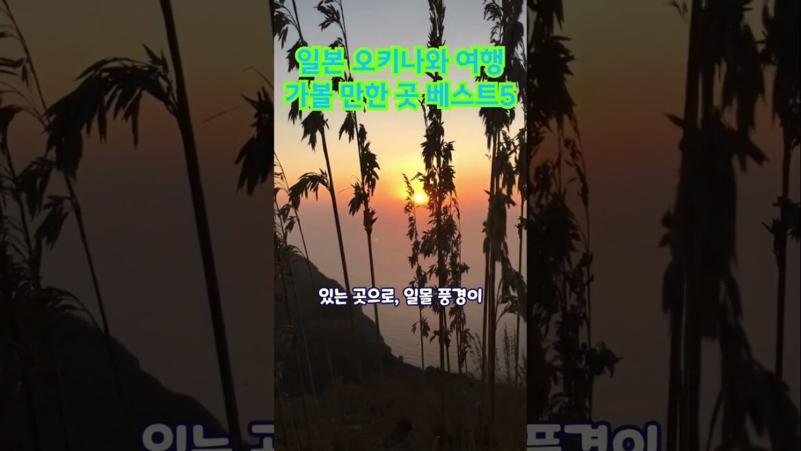 오키나와 여행 가볼 만한 곳 베스트5 #일본여행