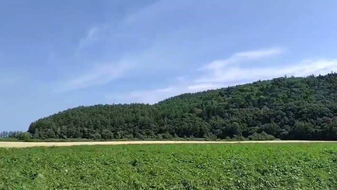 北海道景色(Hokkaido scenery) #hokkaido #japantravel #hokkaidonature #naturelovers #tourists 北海道景色(Hokkaido scenery) #hokkaido #japantravel #hokkaidonature #naturelovers #tourists