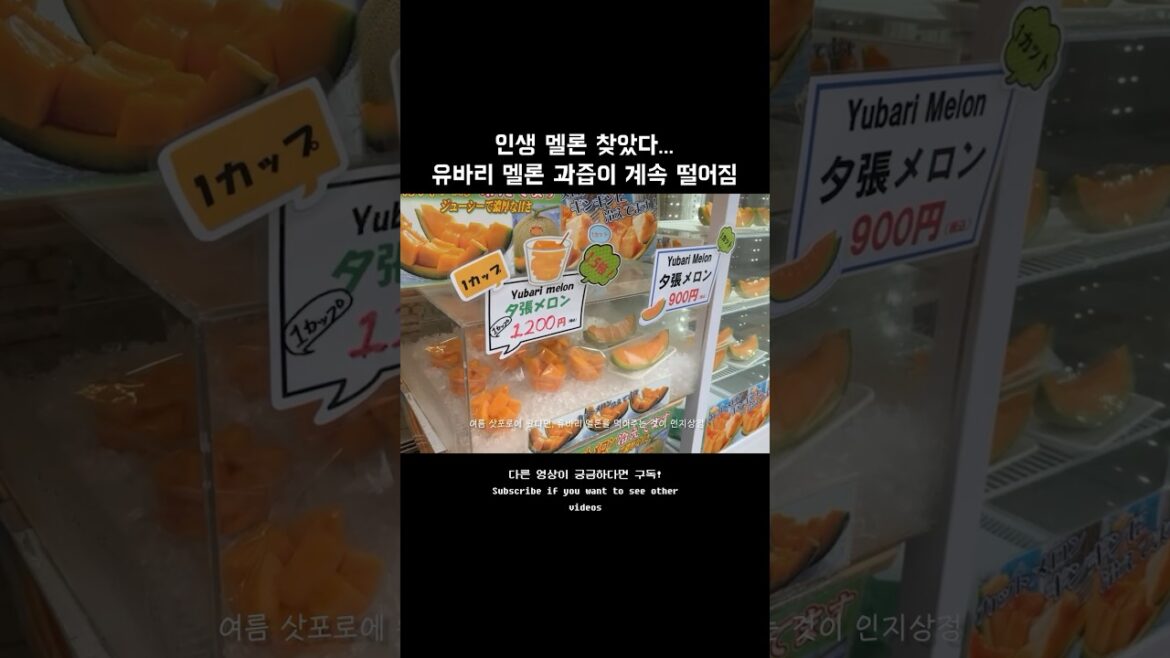 삿포로 유바리 멜론 당도가 넘사벽 #삿포로 #일본여행브이로그 #오타루