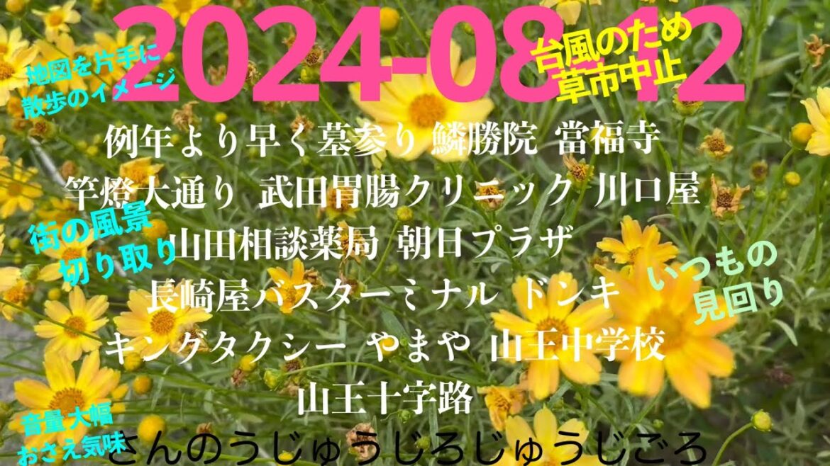 2024-08-12さんのうじゅうじろじゅうじごろ