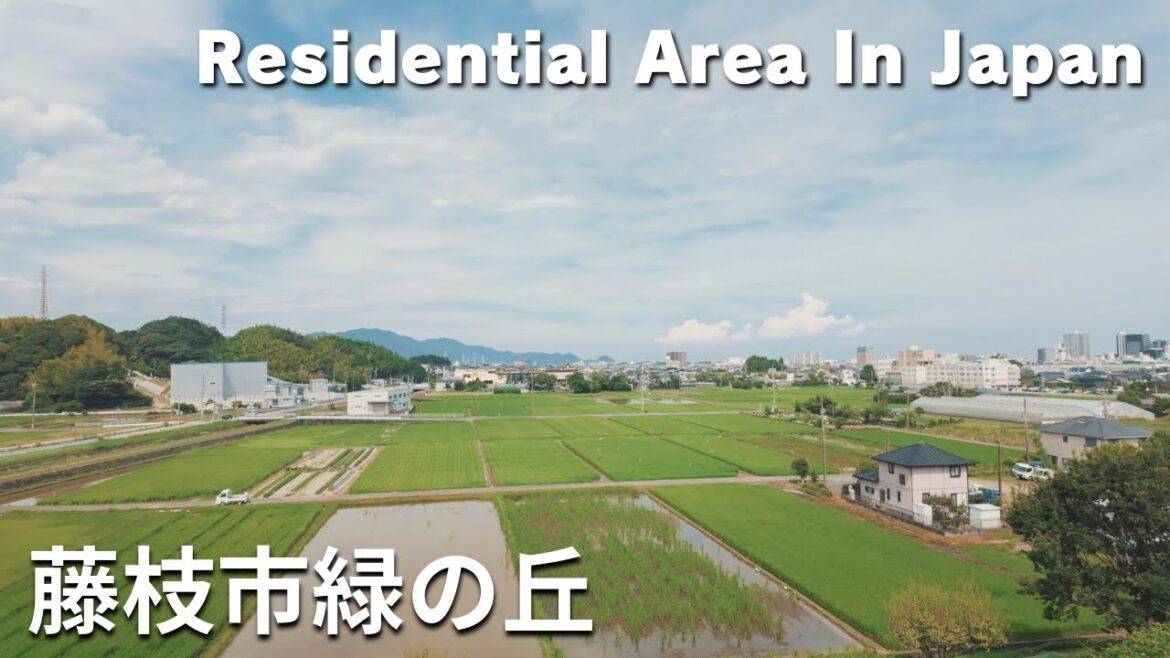 藤枝市緑の丘 - Residential Area In Japan / Summer / Walking tour / Japan / DJI Osmo Pocket 3