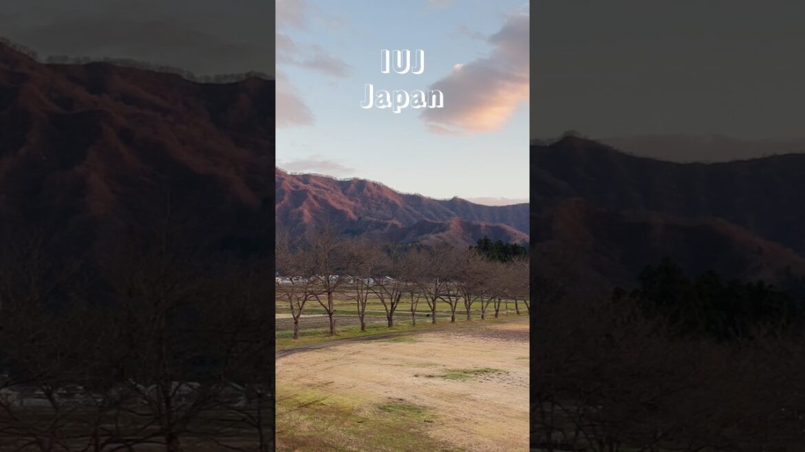 Slow Evening at IUJ #japan #autumn