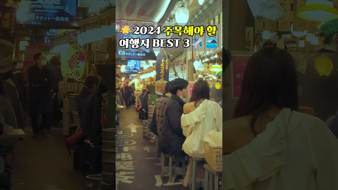 2024년 꼭 주목해야 할 최고의 여행지 TOP 3 - 하코네, 꾸이년, 팔라우!