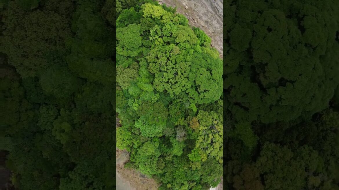 無人島( Vol.22 )/小島 無人島( Vol.22 )/小島